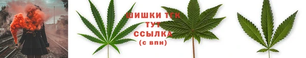 дмт Нефтекумск