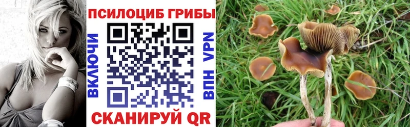 Псилоцибиновые грибы MAGIC MUSHROOMS  Купить закладки  Райчихинск 